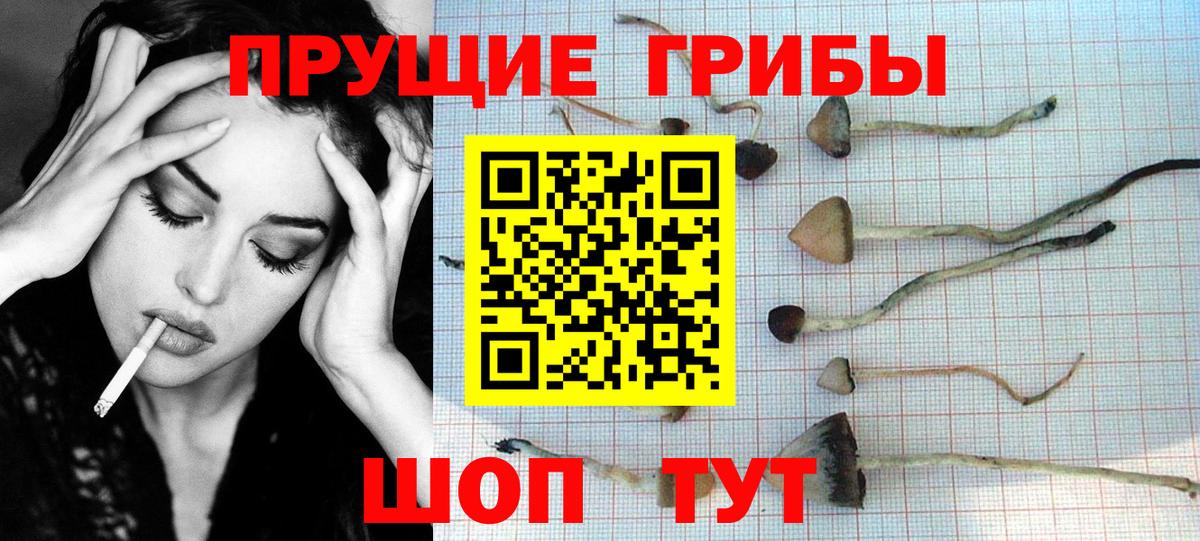 Галлюциногенные грибы мицелий  Вход с VPN  Белебей 